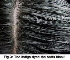 260714095055_Hair-Dyed with indigo-s.jpg